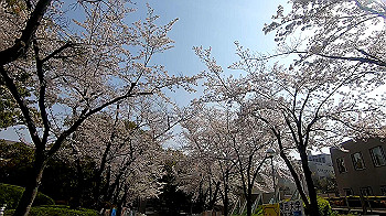 gx011735.mp4_snapshot_01.18_thumb.jpg