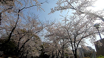 gx011735.mp4_snapshot_01.20_thumb.jpg