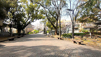 gx011737.mp4_snapshot_00.02_thumb.jpg