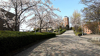 gx011738.mp4_snapshot_00.19_thumb.jpg