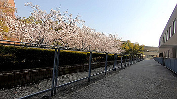 gx011738.mp4_snapshot_00.34_thumb.jpg