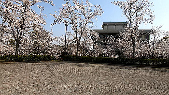 gx011738.mp4_snapshot_02.02_thumb.jpg