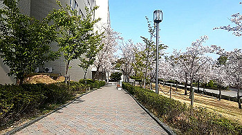 gx011738.mp4_snapshot_02.06_thumb.jpg