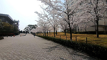 gx011738.mp4_snapshot_02.35_thumb.jpg