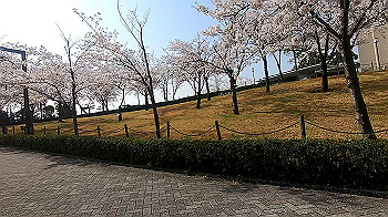 gx011738.mp4_snapshot_02.49_thumb.jpg