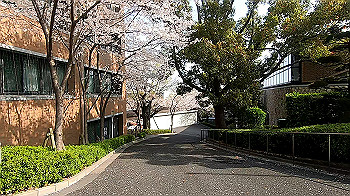 gx011738.mp4_snapshot_04.01_thumb.jpg