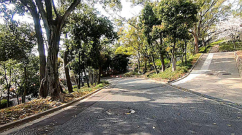 gx011738.mp4_snapshot_04.47_thumb.jpg