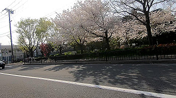 gx011738.mp4_snapshot_06.45_thumb.jpg