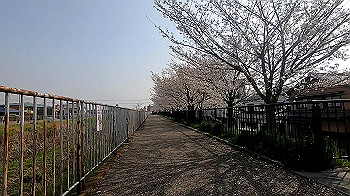 gx011739.mp4_snapshot_00.02_thumb.jpg