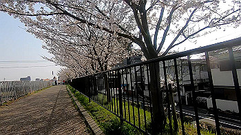 gx011739.mp4_snapshot_00.10_thumb.jpg