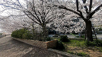 gx011739.mp4_snapshot_01.03_thumb.jpg