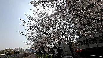 gx011739.mp4_snapshot_01.13_thumb.jpg