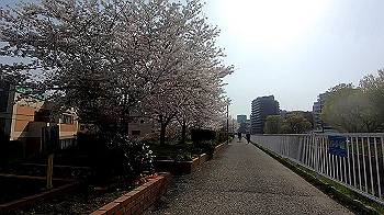 gx011740.mp4_snapshot_00.14_thumb.jpg