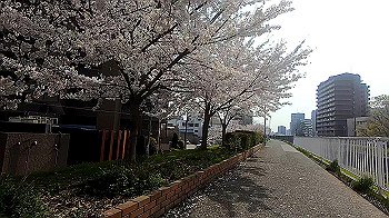 gx011740.mp4_snapshot_00.28_thumb.jpg