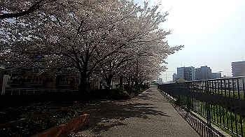 gx011740.mp4_snapshot_01.30_thumb.jpg