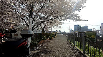 gx011740.mp4_snapshot_01.37_thumb.jpg