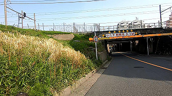 gx011741.mp4_snapshot_05.20_thumb.jpg