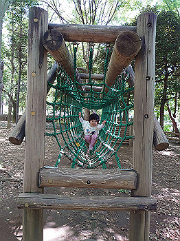 20210501_045748000_ios_thumb.jpg