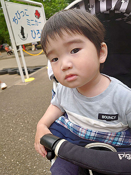 20210508_051545000_ios_thumb.jpg