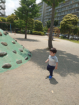 20210530_033748000_ios_thumb.jpg
