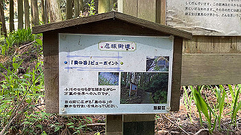 20210409_032342802_ios_thumb.jpg