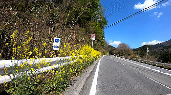 gh011753.mp4_snapshot_00.28_thumb.jpg