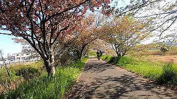 gx011750.mp4_snapshot_00.31_thumb.jpg