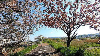 gx011750.mp4_snapshot_00.37_thumb.jpg