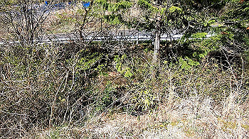 gx011757.mp4_snapshot_00.37_thumb.jpg