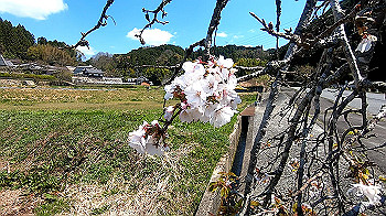 gx011761.mp4_snapshot_00.00_thumb.jpg