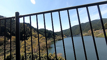 gx011765.mp4_snapshot_00.49_thumb.jpg