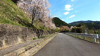 gx011767.mp4_snapshot_00.42_thumb.jpg
