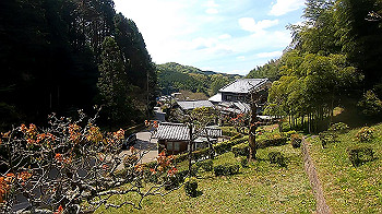 gx011773.mp4_snapshot_00.36_thumb.jpg