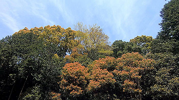 gx011773.mp4_snapshot_01.00_thumb.jpg