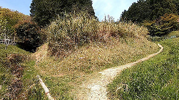 gx011774.mp4_snapshot_00.00_thumb.jpg