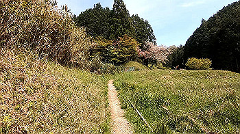 gx011774.mp4_snapshot_00.11_thumb.jpg