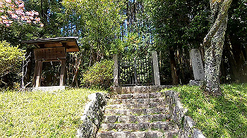 gx011774.mp4_snapshot_00.50_thumb.jpg