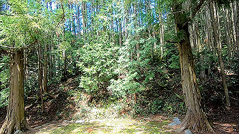 gx011774.mp4_snapshot_01.07_thumb.jpg