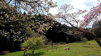 gx011774.mp4_snapshot_01.15_thumb.jpg