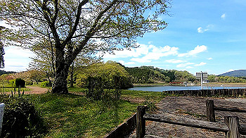 gx011776.mp4_snapshot_09.53_thumb.jpg