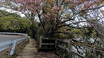 gx011777.mp4_snapshot_01.18_thumb.jpg