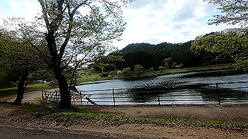 gx011778.mp4_snapshot_00.21_thumb.jpg