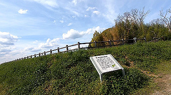 gx011786.mp4_snapshot_00.47_thumb.jpg