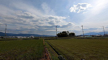 gx011786.mp4_snapshot_02.04_thumb.jpg