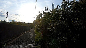 gx011796.mp4_snapshot_00.49_thumb.jpg