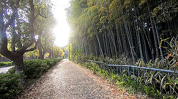 gx011796.mp4_snapshot_01.09_thumb.jpg