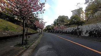 gx011798.mp4_snapshot_00.06_thumb.jpg