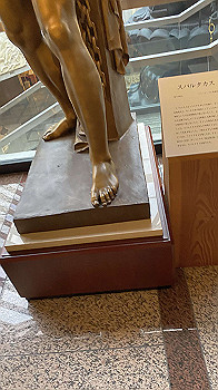 20210508_060459077_ios_thumb.jpg