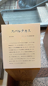 20210508_060500862_ios_thumb.jpg