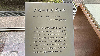 20210508_061204730_ios_thumb.jpg